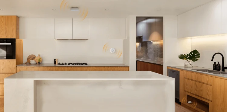 e894b8f572c9eb4d77929861490a195a