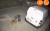 a58fc03e198ecfb925decc94690cc0ed