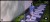 2fb6d5b6c29809ed5e10d3923be08aa3